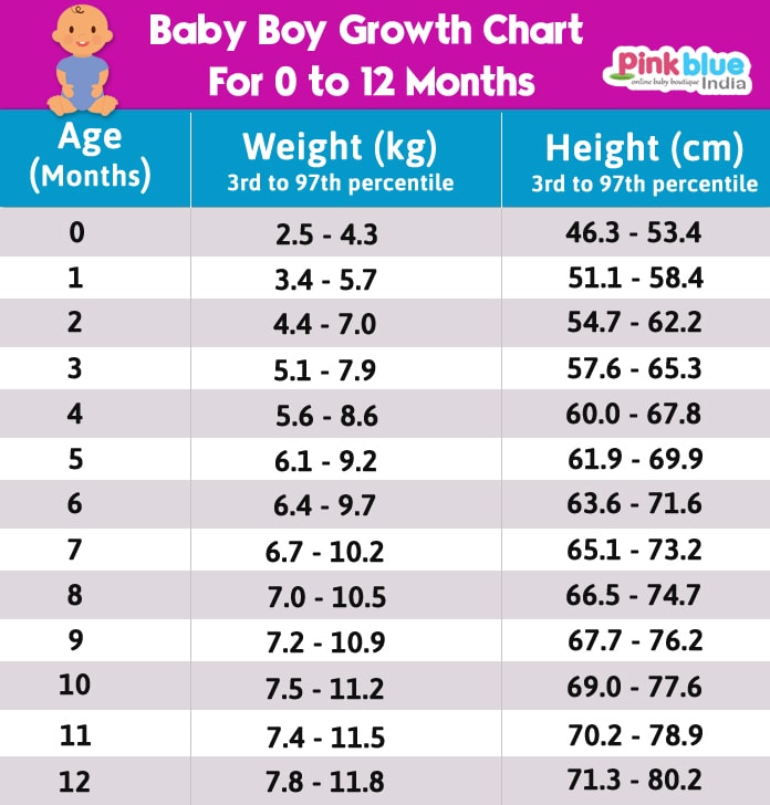 5 Month Old Baby Average Weight And Height Baby Viewer